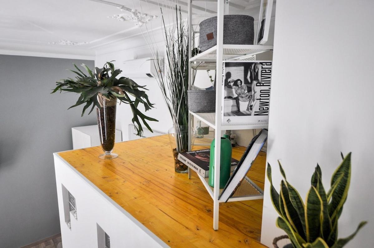 Deluxe Artistic Loft Apartment Turin Ngoại thất bức ảnh